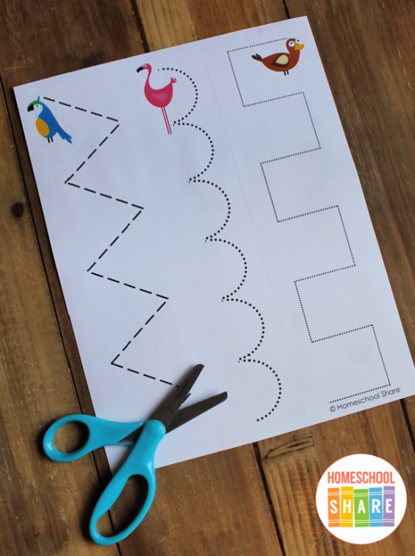 Free Bird Printables for Preschool and Kindergarten Homeschool Share