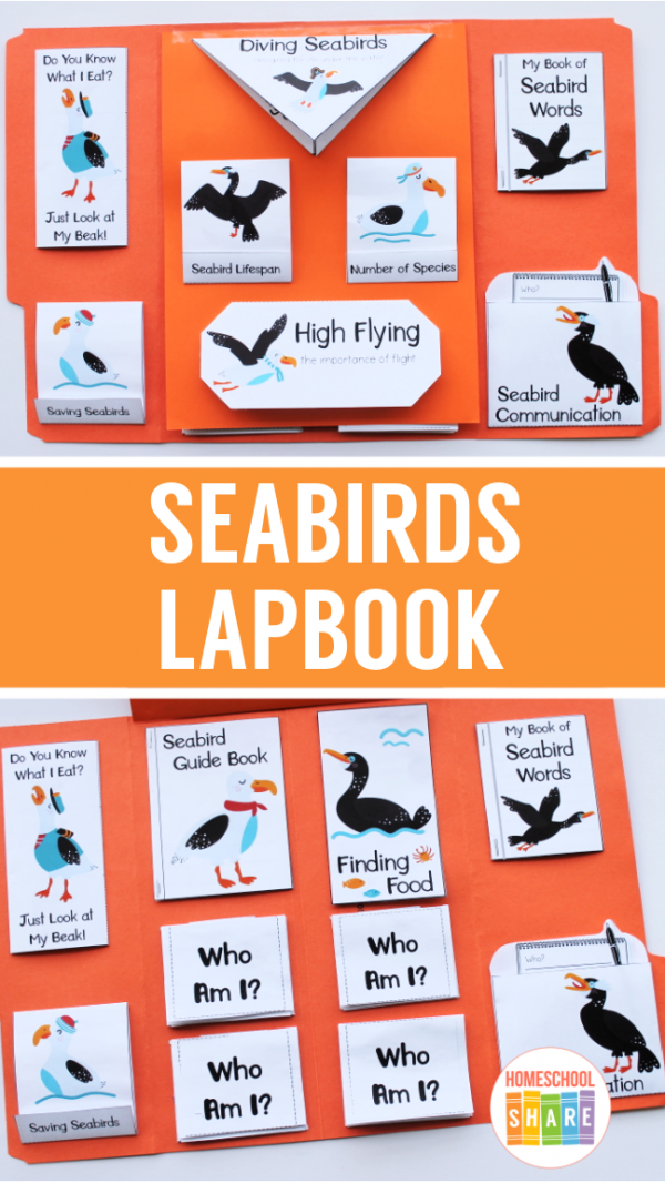 Seabirds Lapbook - Homeschool Share