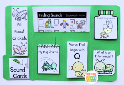The Very Quiet Cricket Activities & Free Printables - Homeschool Share