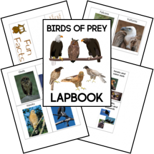 Birds of Prey Lapbook - Homeschool Share