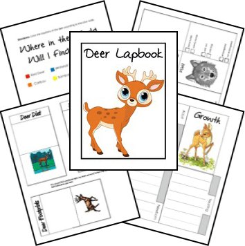 owl kindergarten worksheet