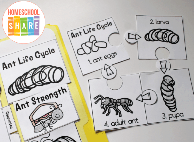 ANT COLONY Unit Study MINI Printable Ants Bundle Poster 