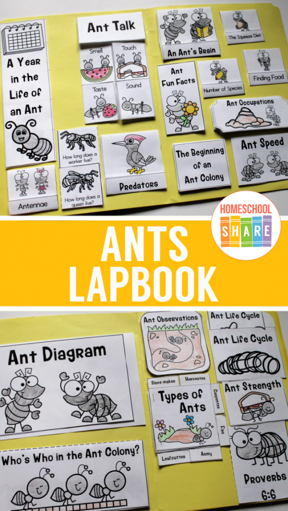 ANT COLONY Unit Study MINI Printable Ants Bundle Poster 