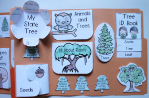Free Trees Unit Study &amp; Lapbook - Homeschool Share