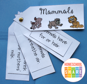 Free Mr. Gumpy's Outing Activities &amp; Printables - Homeschool Share