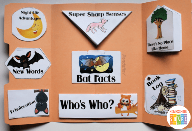 Nocturnal Animals Lapbook - Homeschool Share