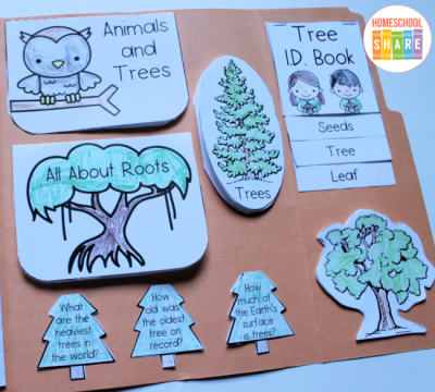 Free Trees Unit Study &amp; Lapbook - Homeschool Share