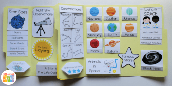 book report lapbook