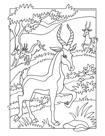 Free African Animal Coloring Pages
