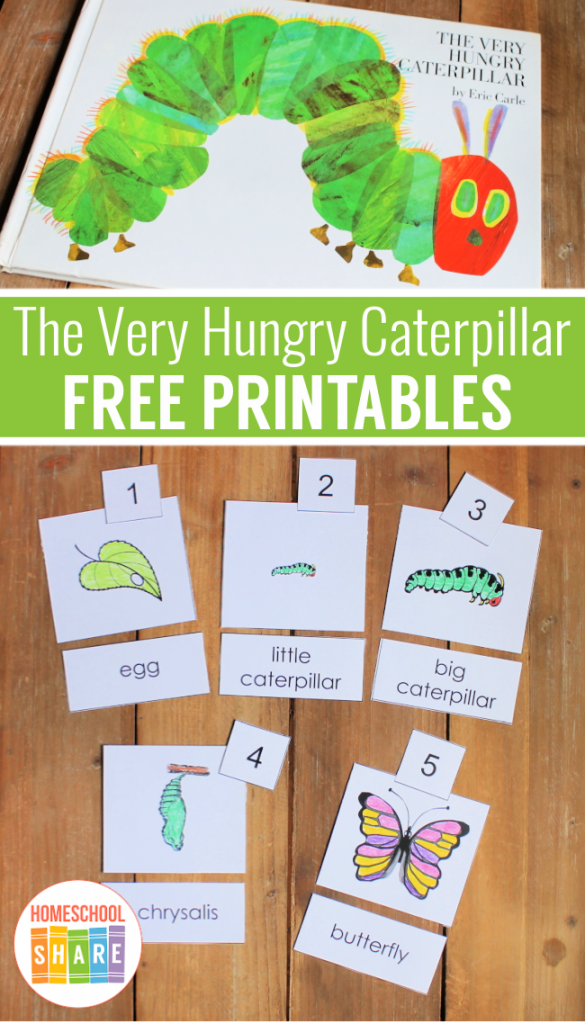 the-very-hungry-caterpillar-printables-homeschool-share