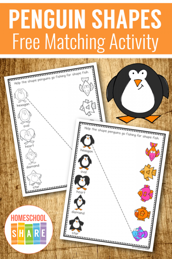 Penguin Matching Shapes Worksheets Homeschool Share