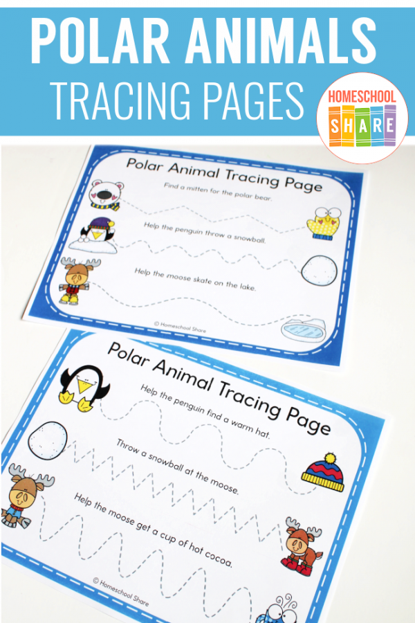 Polar Animals Tracing Pages Homeschool Share