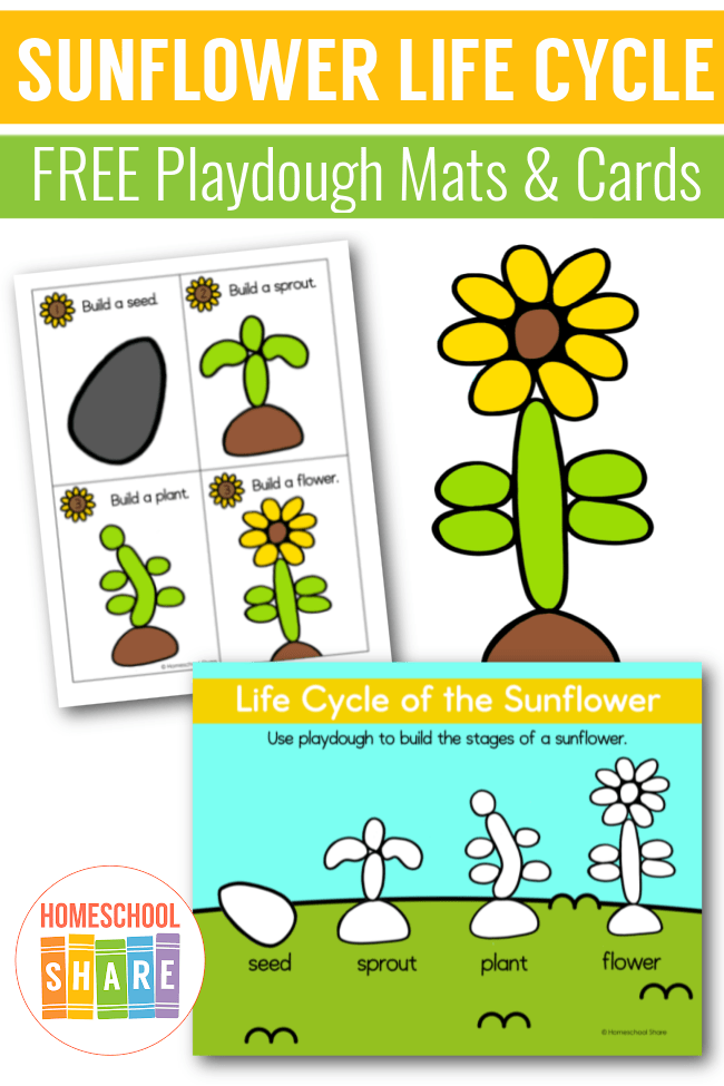 Plant Needs Play Dough Mat