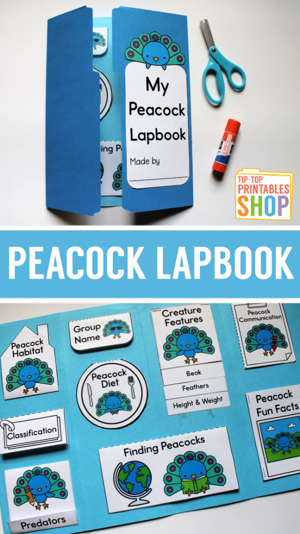 Peacock Lapbook - Homeschool Share