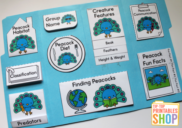 Peacock Lapbook - Homeschool Share