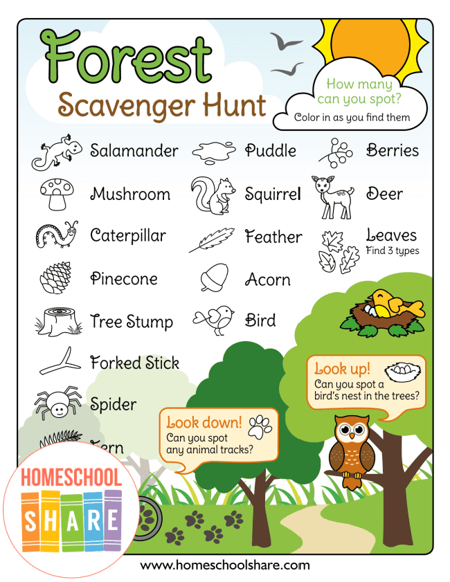 free-forest-scavenger-hunt-homeschool-share