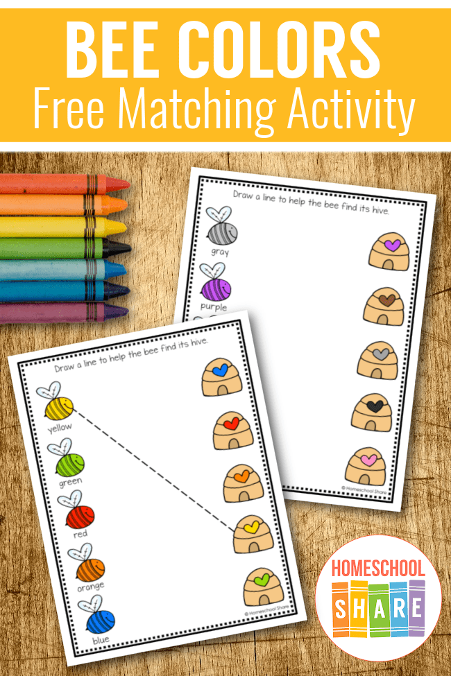 bee color matching worksheets homeschool share