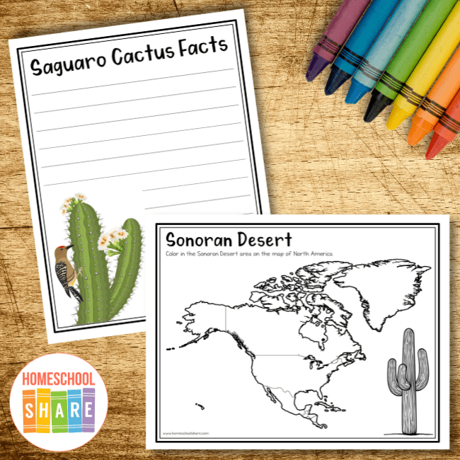 Saguaro Facts for Kids