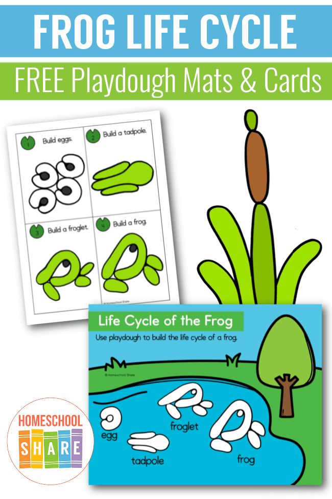 Frog Lifecycle Playdough Stamps - Things They Love