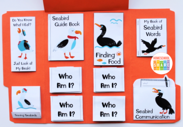 Seabirds Lapbook - Homeschool Share