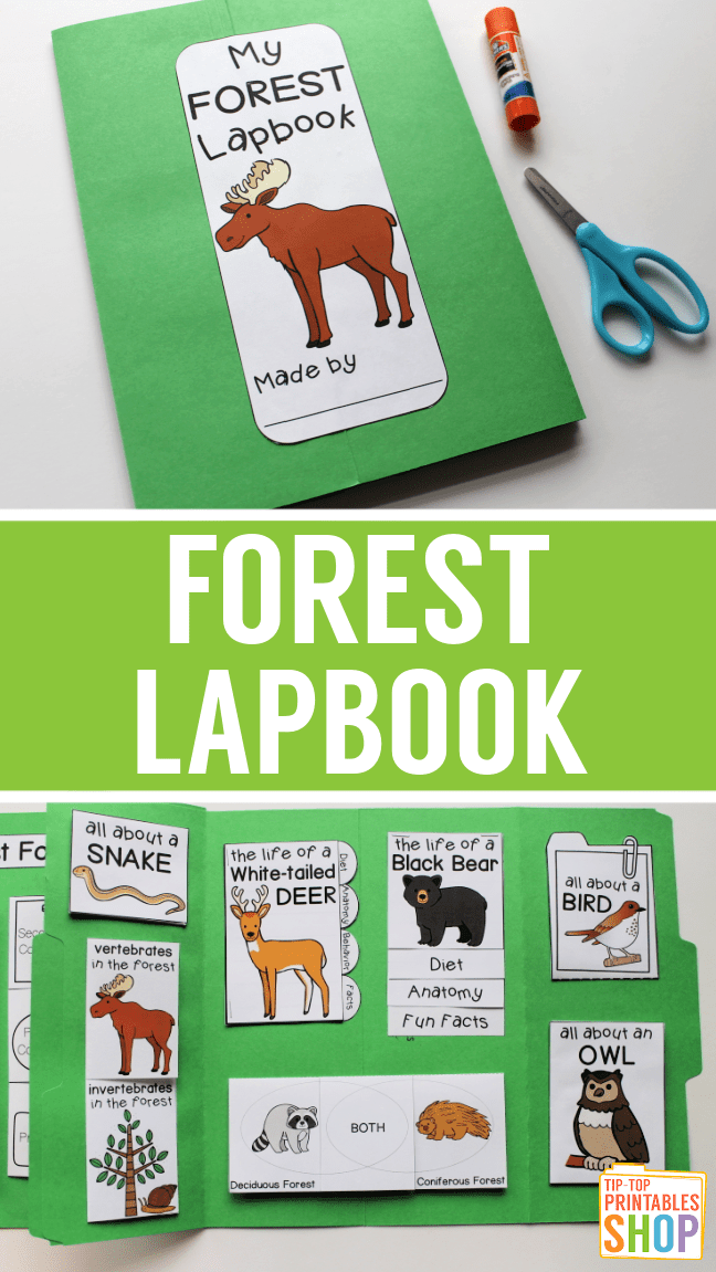 Forest Lapbook Homeschool Share Forest Lapbook Homeschool Share