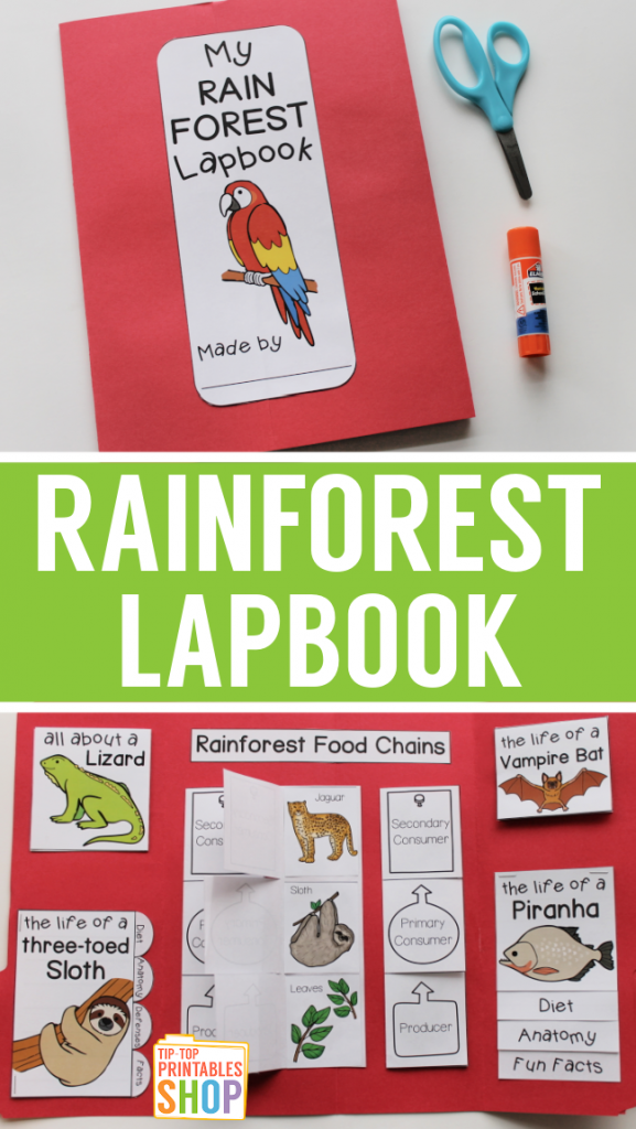 Rainforest Lapbook Homeschool Share Rainforest Lapbook Homeschool Share