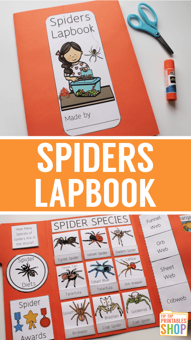 spider-lapbook-homeschool-share