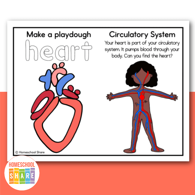 Human Body Play Dough Mats - Growing Hands On Kids Store