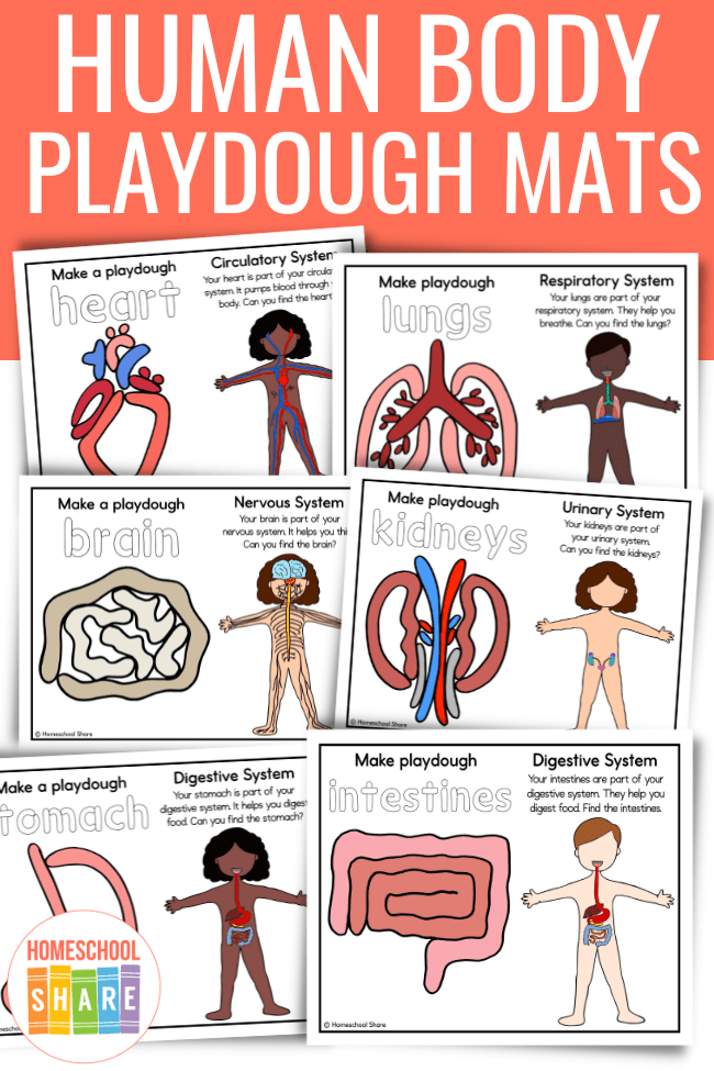 FREE Human Body Playdough Mats Printable Activity for Kids