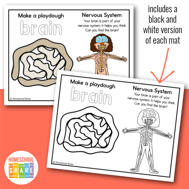 Human Body Anatomy Play-Dough Mats for Kids