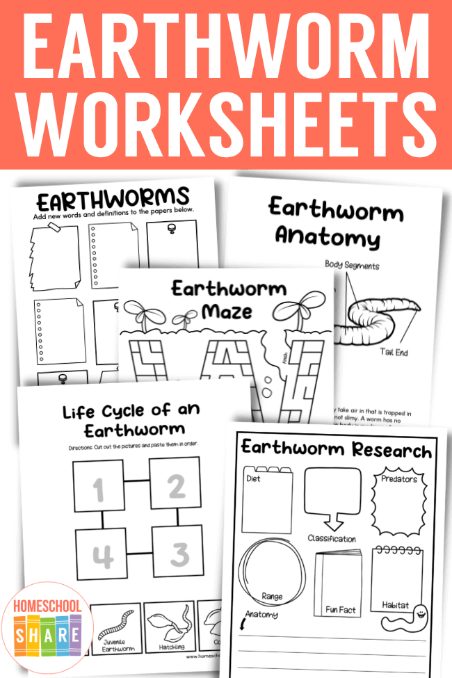 Earthworm Worksheets (free!) - Homeschool Share