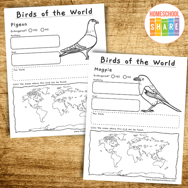 bird research worksheet