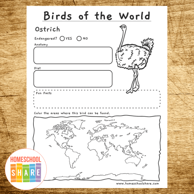 bird research worksheet